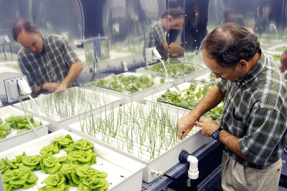Space farming progress
